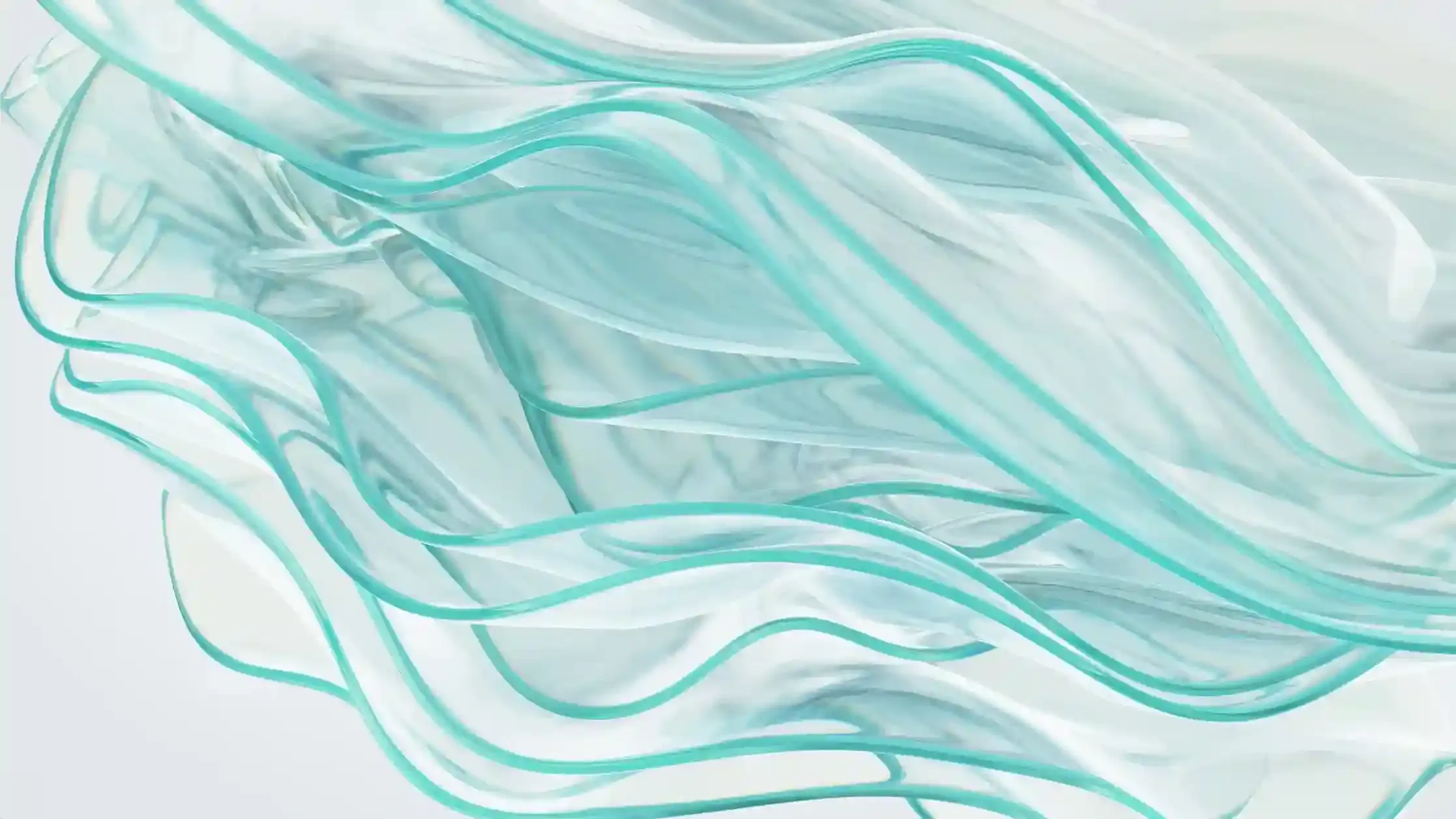 Phosphorus & Cellular Health: How Phosphate Supports Longevity, Bones & Metabolism