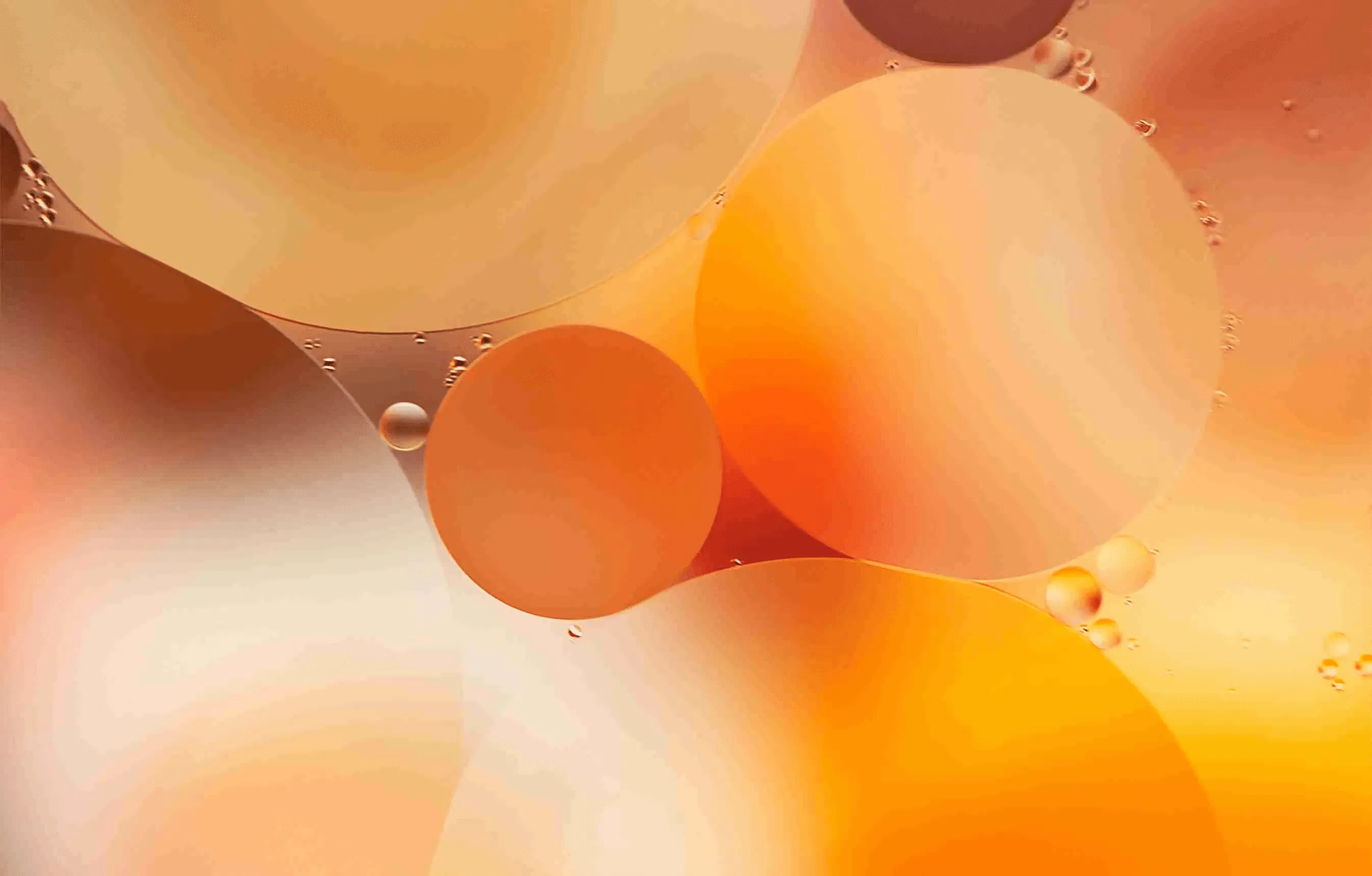 A Deep Dive into Improving Metabolic Health and Longevity