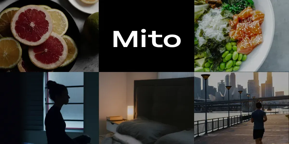 The 5 Key Holistic Pillars of Health: Strategies for Extending Your Healthspan