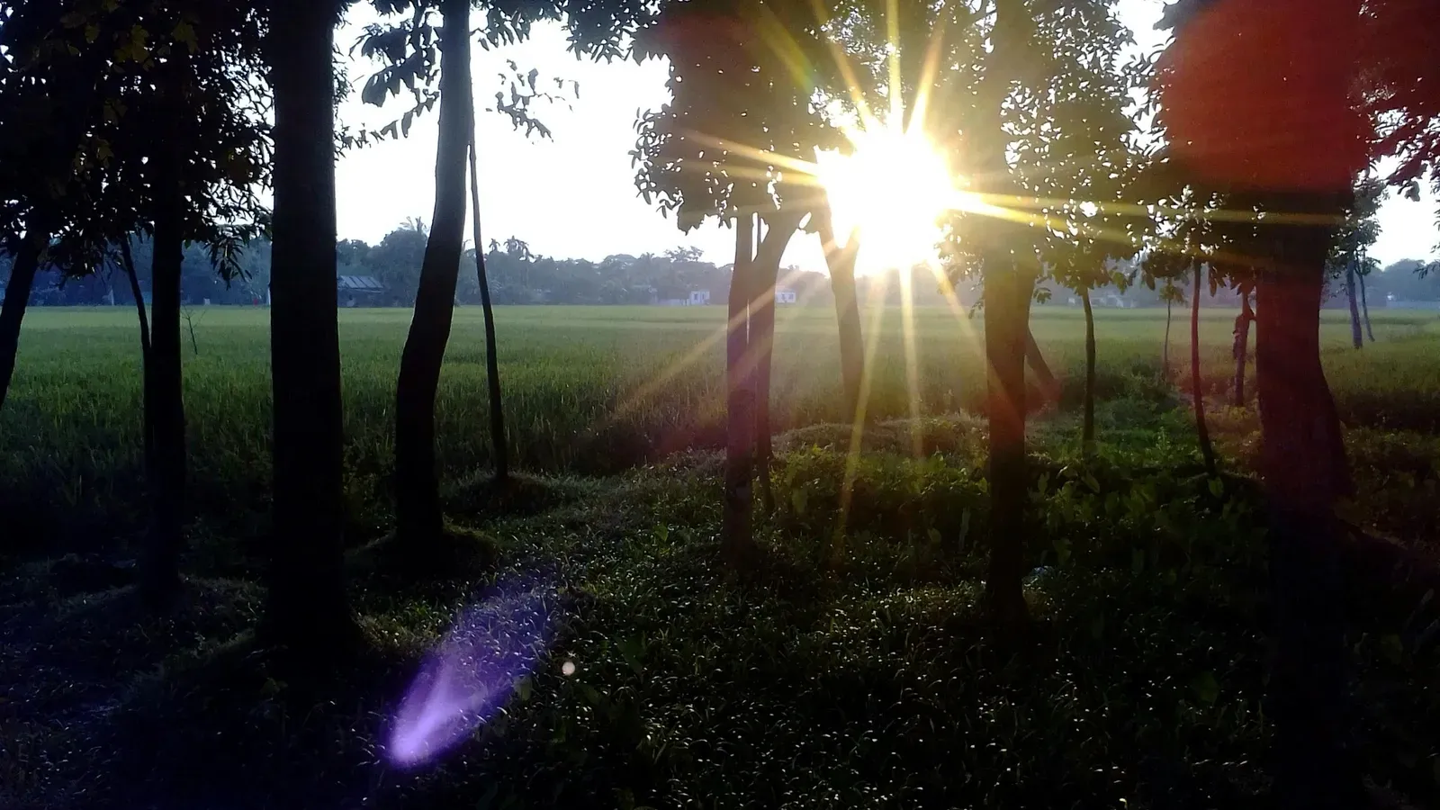 BUN/Creatinine Ratio: What It Means, Optimal Ranges, and How to Optimize Kidney Health