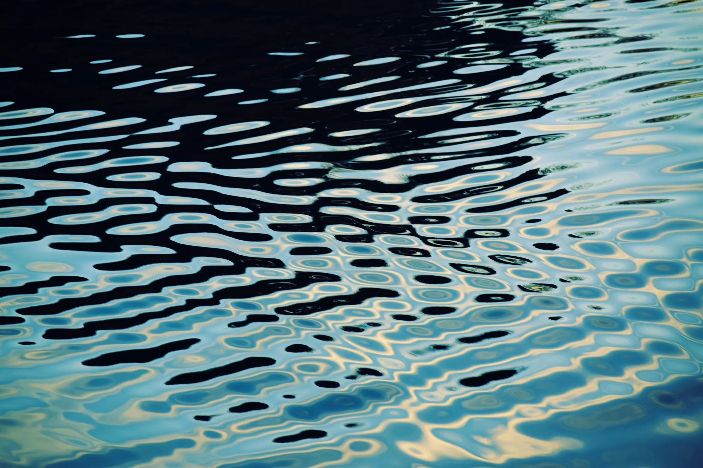 Bryan Johnson's Blue Urine: What You Need to Know