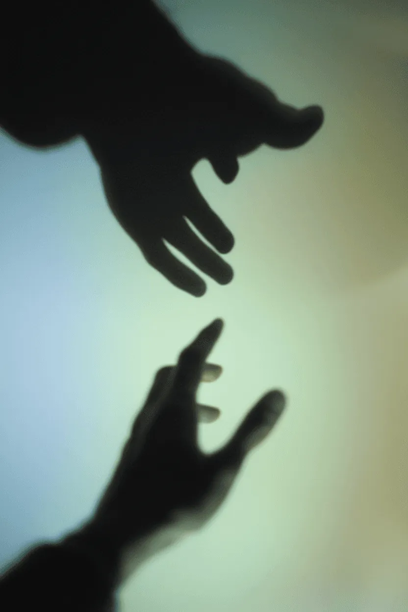 How to Read Your Blood Test Results: A Complete Guide for Health Optimization