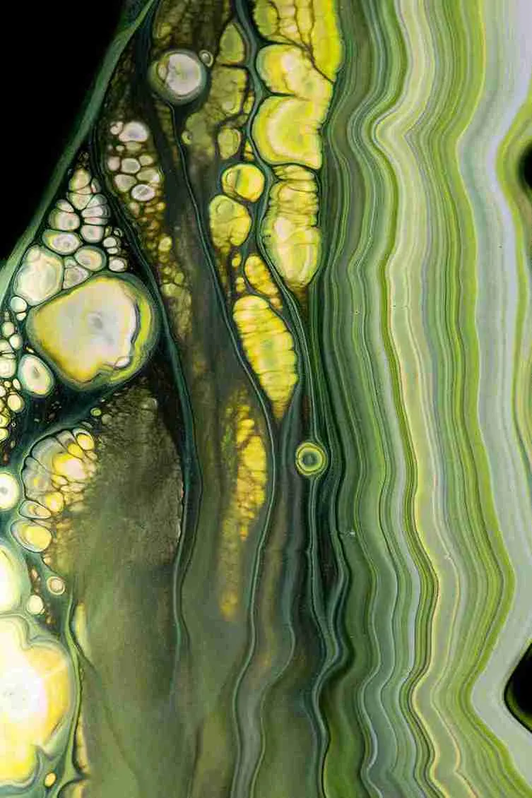 Your longevity guide to Prostate-specific Antigen (PSA). Gain deeper insights into your health.