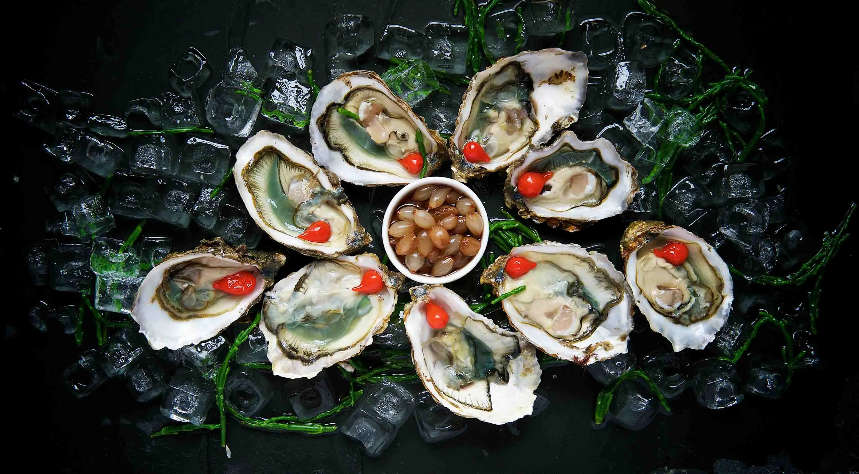 Fresh oysters on ice garnished with peppers and beans, highlighting zinc as a key nutrient that supports vitamin D metabolism for bone and immune health.
