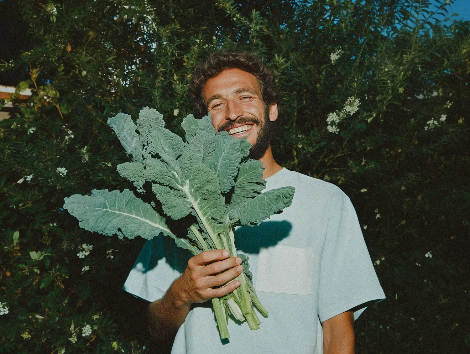 The Complete B-Complex Guide