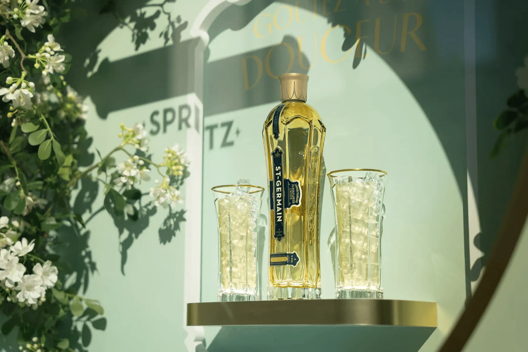 The Hidden Dangers of Seed Oils: Why You Should Think Twice Before Using Them