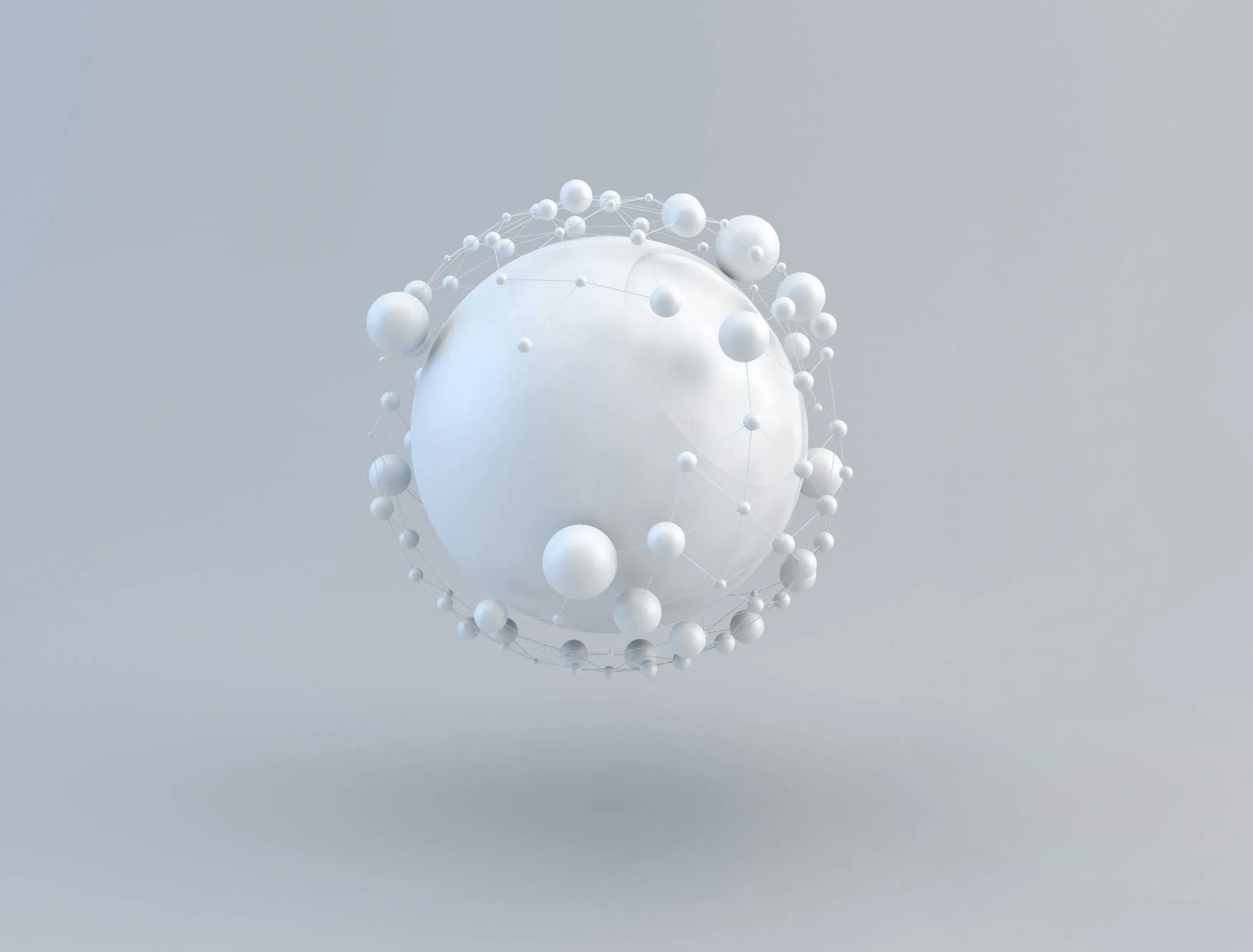 What Are White Blood Cells