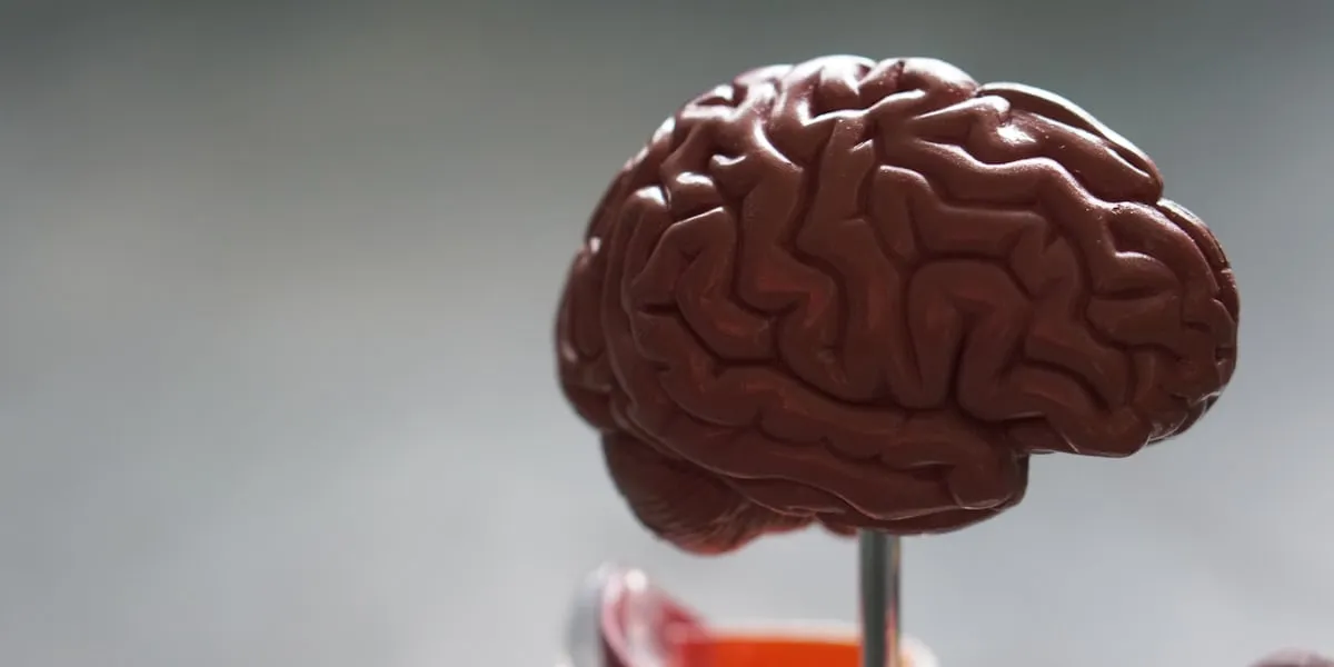 Raising Vitamin D Levels Naturally illustration