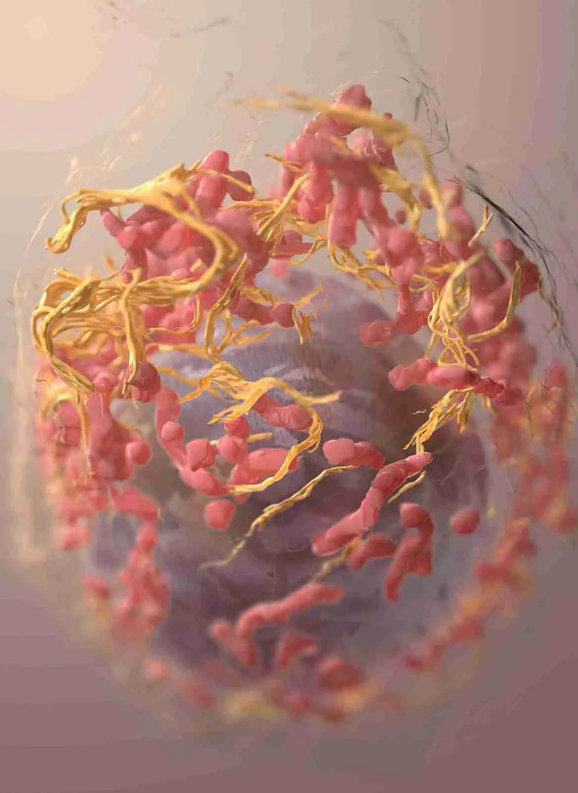 Heart health test results