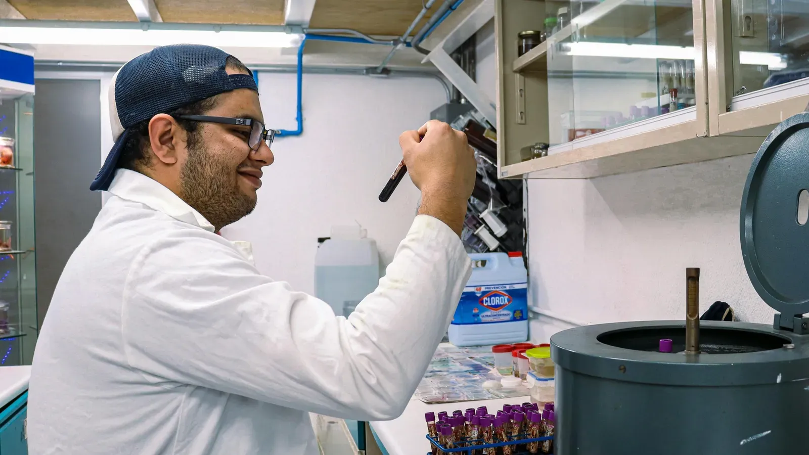 How to Tell Whether ALP Is Coming from the Liver or Bones