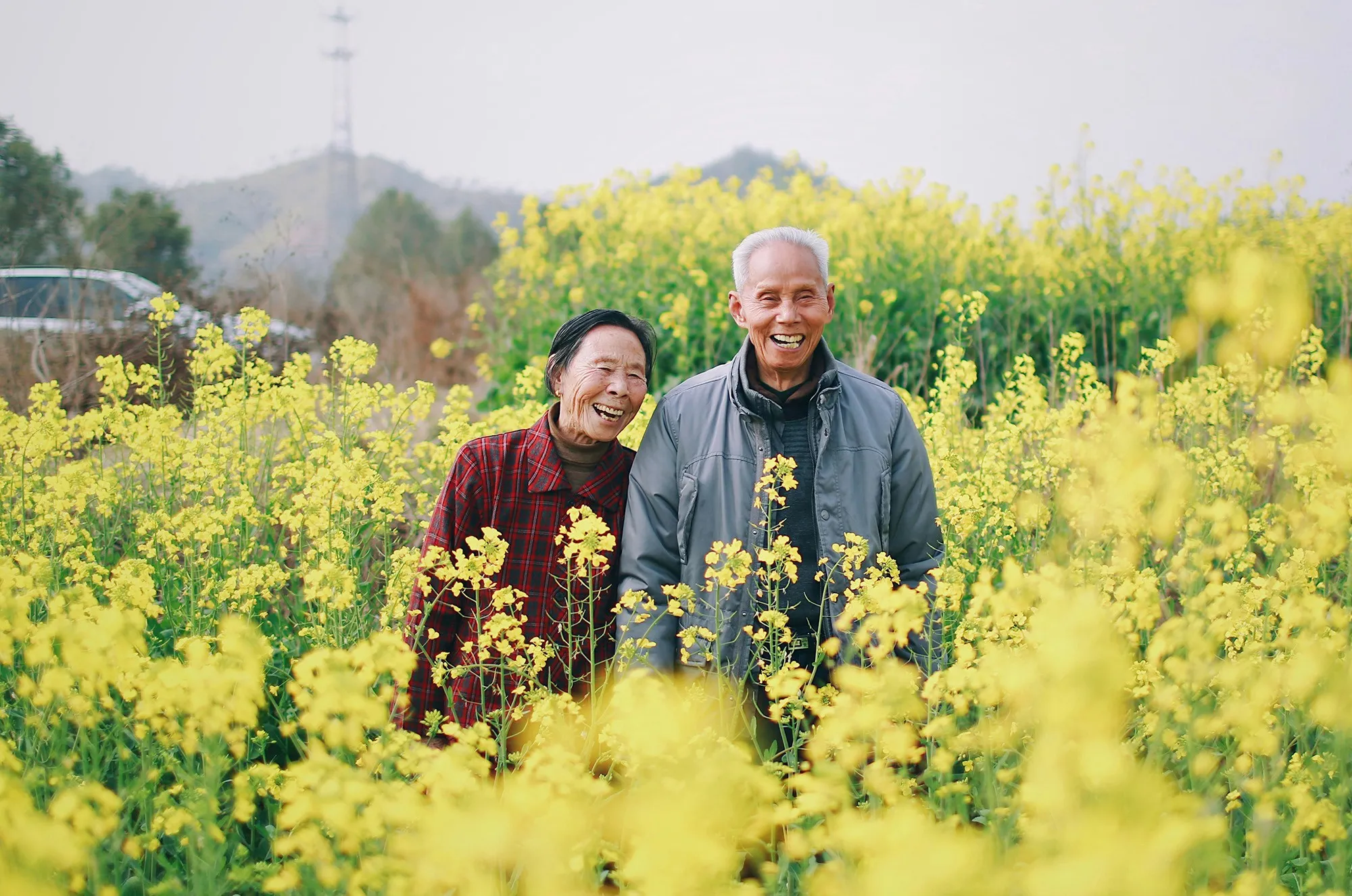 An older couple smiling and enjoying a bright field of yellow flowers, symbolizing the benefits of healthy blood sugar levels and long-term well-being.