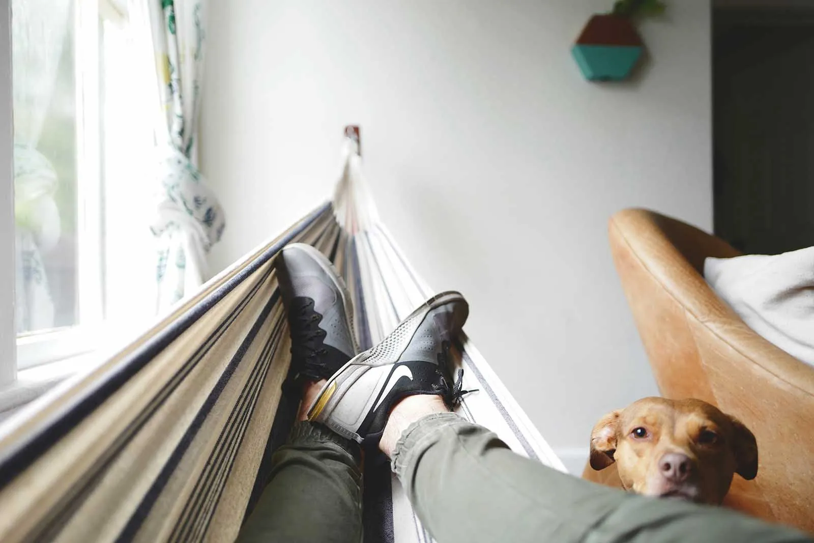 A person resting in a hammock with a small dog nearby, symbolizing the importance of stress management and relaxation for healthy testosterone production.