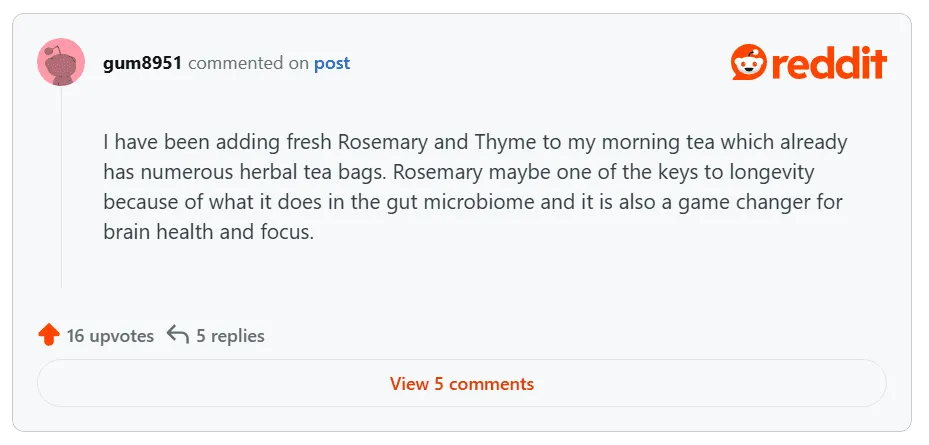 Rosemary and Thyme in Tea for Gut and Brain